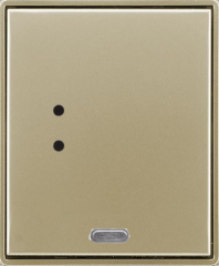 C-WG-0503R-Time, champagne